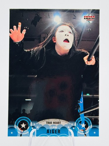 Carta wrestling pro donna - pro,